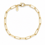 Paperclip Bracelet